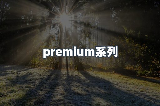 premium系列